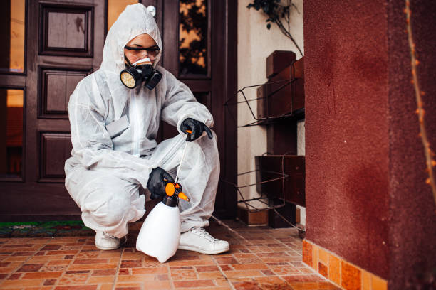 Reliable Wasp Removal contractor in Aquia Harbour, VA by Show Me Pest Control
